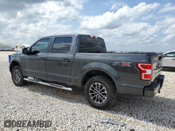 2019 Ford F-150 XL with VIN 1FTEW1CP3KKD25879, listed as a Copart auction lot 54385755 with 146,248 mi miles and Salvage title. Bid and sale history available at DreamBid. Image 2.