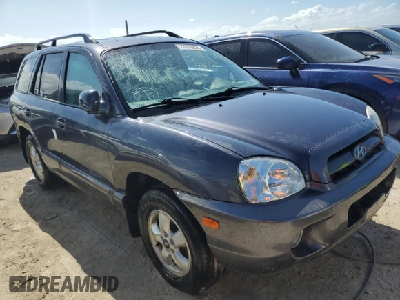 2005 Hyundai Santa Fe GLS with VIN KM8SC13D65U957846, listed as a Copart auction lot 77073824 with 51,485 mi miles and Non Repairable. Bid and sale history available at carsss.com. Image 4.