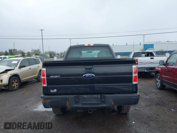 2010 Ford F-150 XL with VIN 1FTEX1E86AFD52648, listed as a IAAI auction lot 42169714 with 51,364 mi miles and . Bid and sale history available at DreamBid. Image 16.