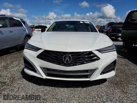 2024 Acura TLX Technology with VIN 19UUB5F45RA000538, listed as a Copart auction lot 73883594 with Not Provided miles and Non Repairable. Bid and sale history available at DreamBid. Image 5.