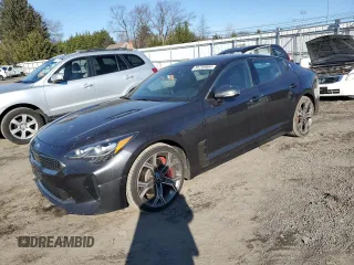 2019 Kia Stinger GT1 with VIN KNAE45LC2K6062459, listed as a Copart auction lot 85746864 with 113,895 mi miles and Salvage Title. Bid and sale history available at carsss.com. Image 1.
