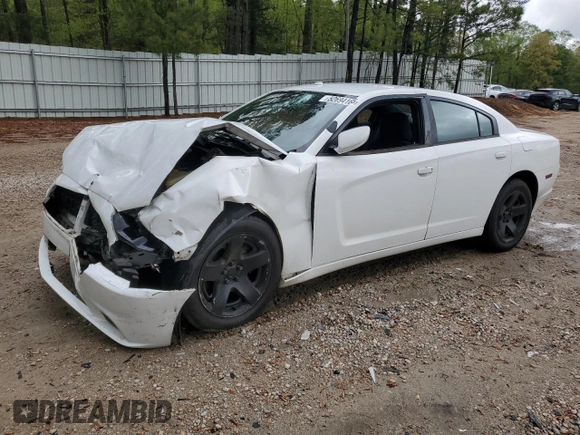 2012 Dodge Charger Police z VIN 2C3CDXAG3CH205208, wystawiony jako Copart lot #52694165 z przebiegiem 131 236 mil mil oraz Szkoda całkowita • Salvage title. Historia ofert i sprzedaży dostępna na DreamBid. Obrazek 1.