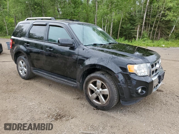 2010 Ford Escape Limited with VIN 1FMCU9EG8AKD13892, listed as a Copart auction lot 62476525 with 274,338 mi miles and Clean title. Bid and sale history available at DreamBid. Image 4.