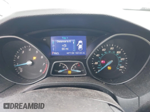 2013 Ford Focus SE with VIN 1FADP3F25DL221207, listed as a IAAI auction lot 41209646 with 160,125 mi miles and . Bid and sale history available at DreamBid. Image 7.