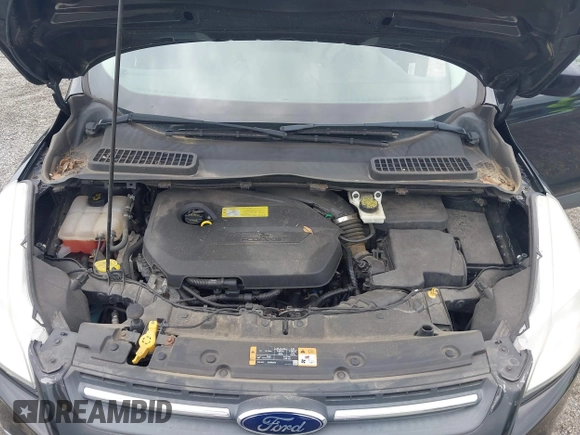 2014 Ford Escape SE with VIN 1FMCU9GX2EUB68419, listed as a IAAI auction lot 42741491 with Not provided miles and . Bid and sale history available at DreamBid. Image 10.