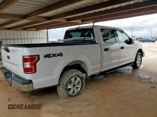 2019 Ford F-150 XL with VIN 1FTFW1E54KKE16420, listed as a Copart auction lot 62522515 with 141,177 mi miles and Clean title. Bid and sale history available at DreamBid. Image 3.