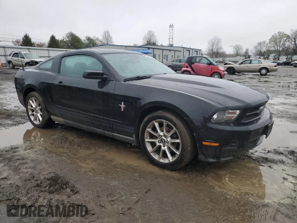 2010 Ford Mustang V6 with VIN 1ZVBP8AN3A5112855, listed as a Copart auction lot 49824275 with 161,778 mi miles and Salvage Title. Bid and sale history available at DreamBid. Image 4.