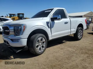 2021 Ford F-150 XL with VIN 1FTMF1CP2MKE07164, listed as a Copart auction lot 53718025 with 66,404 mi miles and Salvage title. Bid and sale history available at DreamBid. Image 1.
