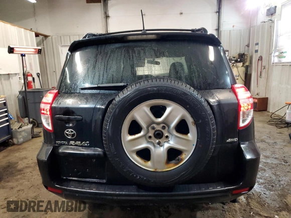 2009 Toyota RAV4 with VIN JTMBF35V895014953, listed as a Copart auction lot 49974695 with 288,489 mi miles and Salvage Title. Bid and sale history available at carsss.com. Image 6.