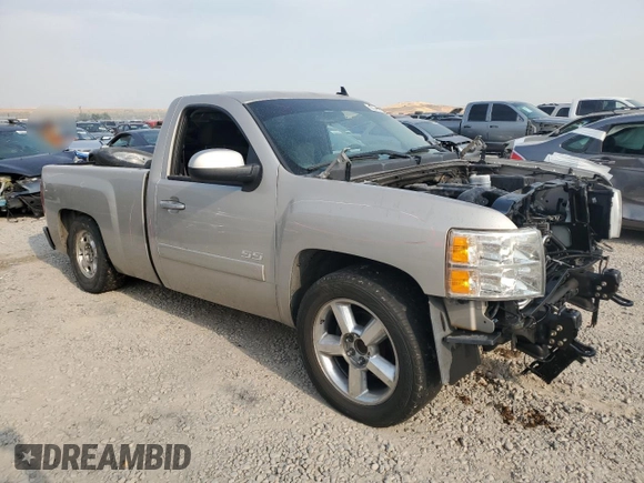 2007 Chevrolet Silverado 1500 with VIN 1GCEC14J97Z630935, listed as a Copart auction lot 66402364 with 144,685 mi miles and Salvage Title. Bid and sale history available at DreamBid. Image 4.