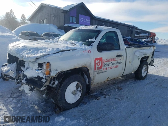 2012 Chevrolet Silverado 1500 Work Truck with VIN 1GCNKPEAXCZ217470, listed as a Copart auction lot 45476725 with Not Provided miles and Salvage Title. Bid and sale history available at DreamBid. Image 1.