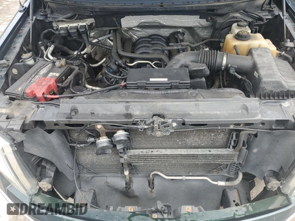 2013 Ford F-150 XL with VIN 1FTFX1EF6DFA66130, listed as a Copart auction lot 63207265 with 190,147 mi miles and Salvage title. Bid and sale history available at DreamBid. Image 11.