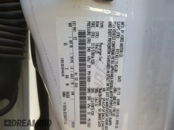 2013 Ford Focus SE with VIN 1FADP3F24DL234319, listed as a Copart auction lot 49627975 with Not Provided miles and Salvage Title. Bid and sale history available at DreamBid. Image 12.