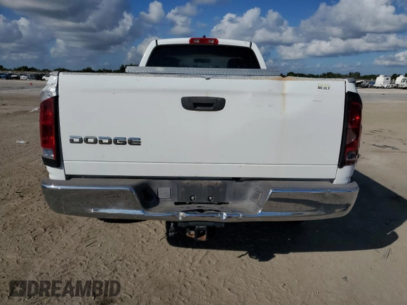 2002 Dodge 1500 with VIN 1D7HA16K32J224753, listed as a Copart auction lot 79841324 with 117,715 mi miles and Salvage Title. Bid and sale history available at DreamBid. Image 10.