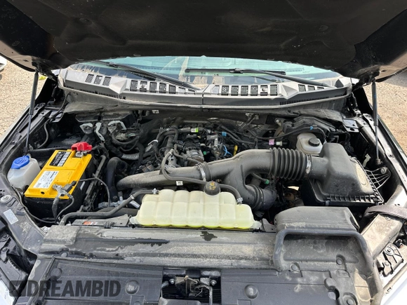 2020 Ford F-150 XL with VIN 1FTEX1EP6LFB57319, listed as a Copart auction lot 61725665 with 30,584 mi miles and Clean title. Bid and sale history available at DreamBid. Image 5.