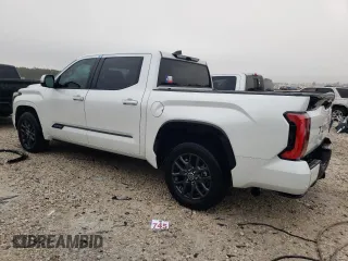 2022 Toyota Tundra 2WD Platinum with VIN 5TFNA5AB6NX003726, listed as a Copart auction lot 69110202 with 5,665 mi miles. Bid and sale history available at carsss.com. Image 2.