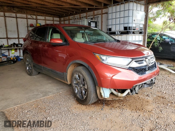 2017 Honda CR-V EX-L with VIN 2HKRW1H81HH509356, listed as a Copart auction lot 49499675 with 40,771 mi miles and Salvage Title. Bid and sale history available at carsss.com. Image 4.