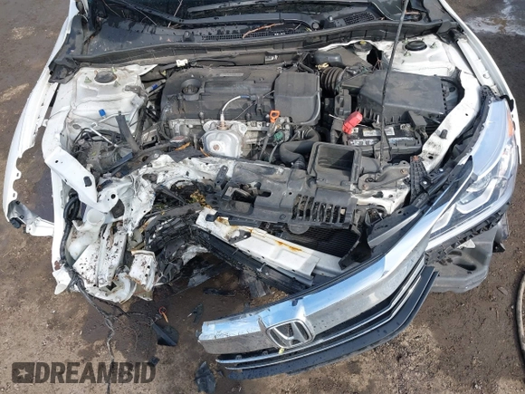 2017 Honda Accord Sedan LX with VIN 1HGCR2F34HA114252, listed as a IAAI auction lot 41456643 with 163,267 mi miles. Bid and sale history available at carsss.com. Image 10.
