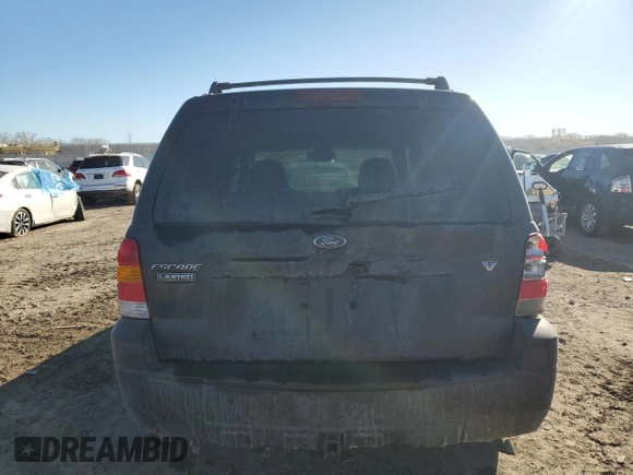 2006 Ford Escape Limited with VIN 1FMYU04196KA34229, listed as a Copart auction lot 46709785 with 203,203 mi miles and Salvage title. Bid and sale history available at DreamBid. Image 6.