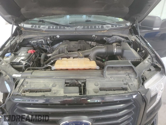 2017 Ford F-150 XL with VIN 1FTEW1EP5HKE46239, listed as a Copart auction lot 54219565 with 114,725 mi miles and Salvage Title. Bid and sale history available at carsss.com. Image 11.