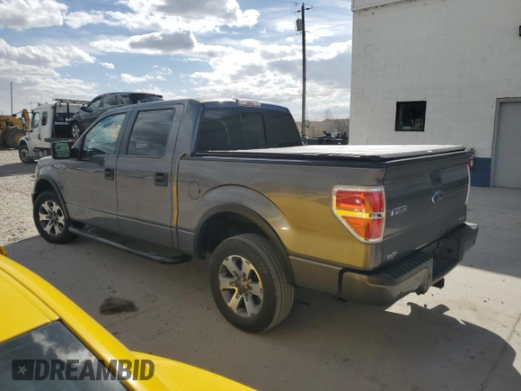 2012 Ford F-150 XL with VIN 1FTEW1CMXCFC00538, listed as a Copart auction lot 48563865 with 0 mi miles and Salvage Title. Bid and sale history available at carsss.com. Image 2.