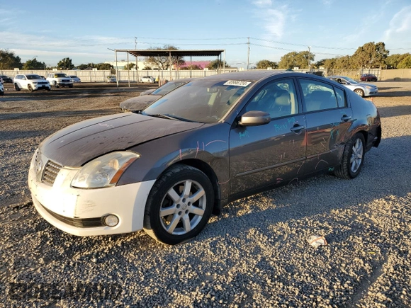 2006 Nissan Maxima 3.5 SE with VIN 1N4BA41EX6C806559, listed as a Copart auction lot 80998724 with 183,273 mi miles and Salvage Title. Bid and sale history available at carsss.com. Image 1.
