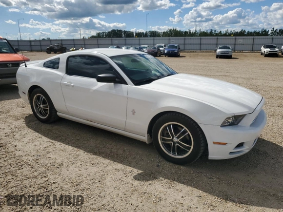 2013 Ford Mustang V6 с VIN 1ZVBP8AMXD5227772, выставлен на аукционе Copart как лот 63335095 с пробегом 145 764 миль миль и Чистый • Clean title. История ставок и продаж доступна на DreamBid. Изображение 4.