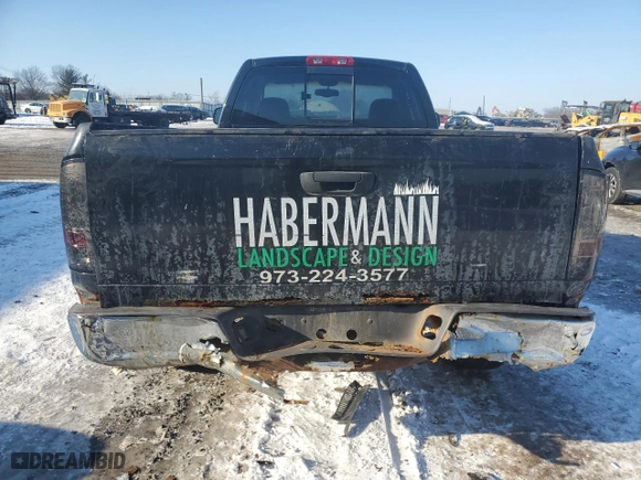 2002 Dodge Ram 1500 ST with VIN 1D7HU16N52J230989, listed as a Copart auction lot 42327065 with 0 mi miles and Salvage Title. Bid and sale history available at carsss.com. Image 6.