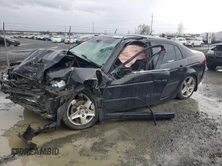 2004 Acura TL with VIN 19UUA66284A040743, listed as a Copart auction lot 49491885 with 0 mi miles and Salvage Title. Bid and sale history available at carsss.com. Image 1.