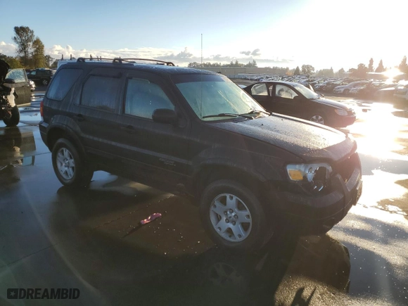 2007 Ford Escape Limited with VIN 1FMCU04117KA07392, listed as a Copart auction lot 76208504 with 194,332 mi miles and Salvage Title. Bid and sale history available at carsss.com. Image 4.