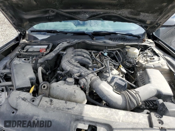 2017 Ford Mustang V6 с VIN 1FA6P8AM7H5289484, выставлен на аукционе Copart как лот 45573175 с пробегом 52 590 миль миль и Списание • Salvage title. История ставок и продаж доступна на DreamBid. Изображение 12.