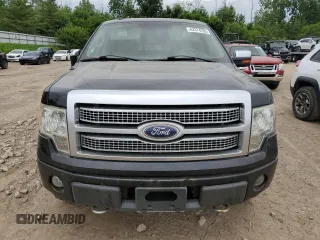 2010 Ford F-150 XL with VIN 1FTFW1EV7AFD41557, listed as a Copart auction lot 62374285 with 238,760 mi miles and Clean title. Bid and sale history available at DreamBid. Image 5.