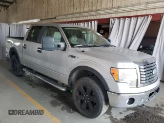 2010 Ford F-150 XL with VIN 1FTFW1EV3AFB69270, listed as a Copart auction lot 66163565 with 176,569 mi miles and Clean title. Bid and sale history available at DreamBid. Image 4.