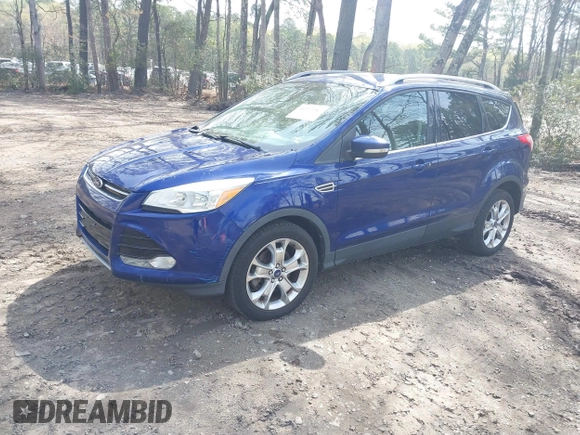 2014 Ford Escape Titanium with VIN 1FMCU9J94EUC38996, listed as a IAAI auction lot 41952267 with 211,375 mi miles. Bid and sale history available at carsss.com. Image 2.