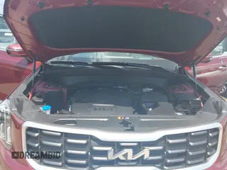 2023 Kia Telluride SX X-Pro with VIN 5XYP5DGC9PG384453, listed as a IAAI auction lot 42556697 with 4,641 mi miles and . Bid and sale history available at DreamBid. Image 10.