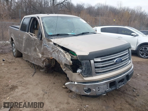 2014 Ford F-150 XL with VIN 1FTFW1EF9EFA91253, listed as a IAAI auction lot 41698300 with 138,663 mi miles. Bid and sale history available at carsss.com. Image 1.