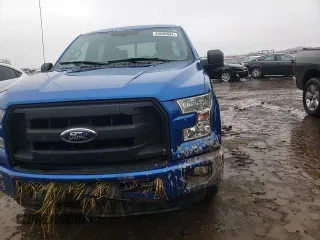 2015 Ford F-150 XL with VIN 1FTEW1CP9FKD16948, listed as a Copart auction lot 39550584 with Not Provided miles and Salvage Title. Bid and sale history available at DreamBid. Image 11.
