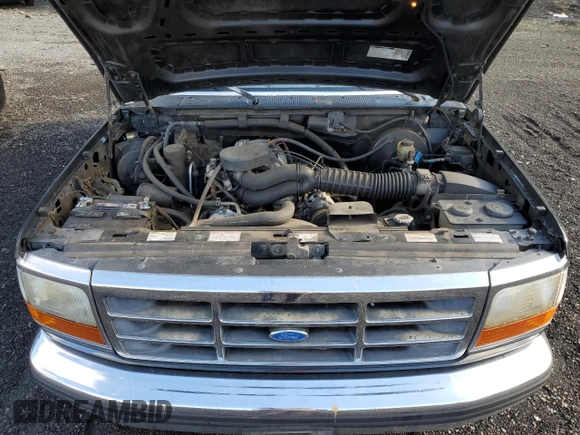 1994 Ford F-150 with VIN 1FTEF14N1RLB23589, listed as a Copart auction lot 75737084 with 143,875 mi miles and Clean title. Bid and sale history available at DreamBid. Image 11.