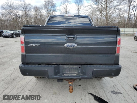 2010 Ford F-150 XL with VIN 1FTFW1CV0AKE33166, listed as a Copart auction lot 50137315 with 234,532 mi miles and Salvage Title. Bid and sale history available at carsss.com. Image 6.