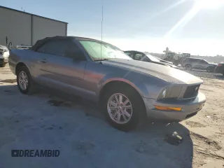 2006 Ford Mustang Standard with VIN 1ZVFT84N965262467, listed as a Copart auction lot 49697655 with 171,122 mi miles and Salvage Title. Bid and sale history available at carsss.com. Image 4.