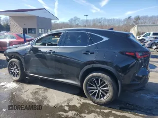 2024 Lexus NX with VIN 2T2AGCEZ2RC046341, listed as a Copart auction lot 44216565 with 23,708 mi miles and Salvage Title. Bid and sale history available at carsss.com. Image 2.