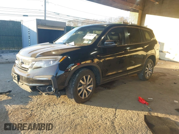 2022 Honda Pilot EX-L with VIN 5FNYF6H57NB035910, listed as a IAAI auction lot 41308742 with 43,059 mi miles. Bid and sale history available at carsss.com. Image 2.