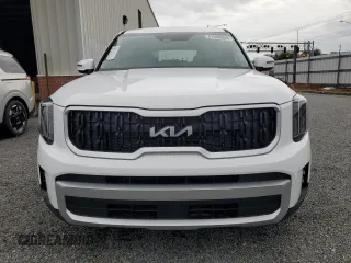 2024 Kia Telluride LX z VIN 5XYP2DGC0RG461190, wystawiony jako Copart lot #81030604 z przebiegiem 41 mil mil oraz Szkoda całkowita • Salvage title. Historia ofert i sprzedaży dostępna na DreamBid. Obrazek 5.