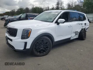 2022 Kia Telluride EX with VIN 5XYP3DHCXNG285755, listed as a Copart auction lot 64198855 with 33,619 mi miles and Salvage title. Bid and sale history available at DreamBid. Image 1.