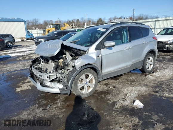 2014 Ford Escape SE with VIN 1FMCU0GX7EUA96807, listed as a Copart auction lot 42495375 with Not Provided miles and Salvage Title. Bid and sale history available at carsss.com. Image 1.