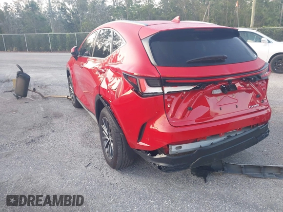 2025 Lexus NX with VIN 2T2ADCAZ8SC018984, listed as a IAAI auction lot 41641184 with 14,489 mi miles. Bid and sale history available at carsss.com. Image 6.