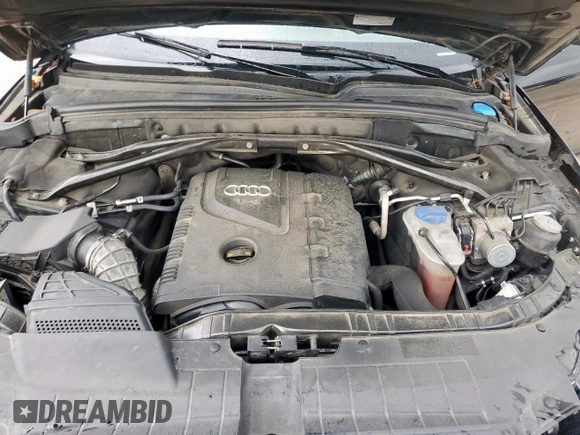2011 Audi Q5 Premium Plus with VIN WA1LFAFP5BA019026, listed as a Copart auction lot 58257535 with 102,268 mi miles and Salvage title. Bid and sale history available at DreamBid. Image 12.