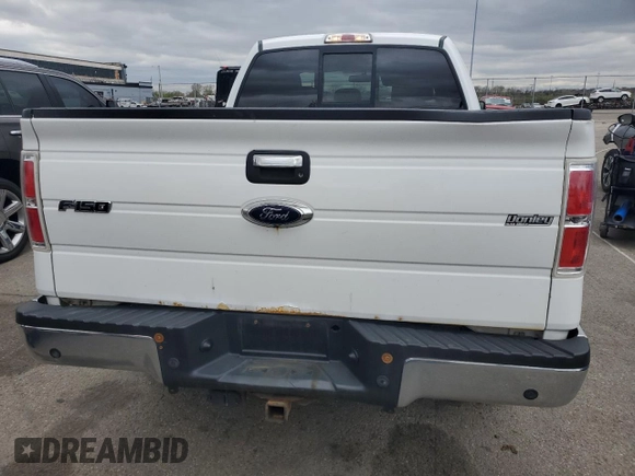 2013 Ford F-150 XL with VIN 1FTFX1ET4DFD31973, listed as a Copart auction lot 53285255 with 201,594 mi miles and Clean title. Bid and sale history available at DreamBid. Image 6.