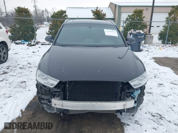 2017 Audi Q3 Premium with VIN WA1BCCFSXHR012345, listed as a IAAI auction lot 41589844 with 125,044 mi miles and . Bid and sale history available at DreamBid. Image 6.