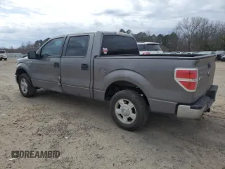 2010 Ford F-150 XL with VIN 1FTEW1C89AFA68212, listed as a Copart auction lot 47641185 with 313,339 mi miles and Clean Title. Bid and sale history available at carsss.com. Image 2.